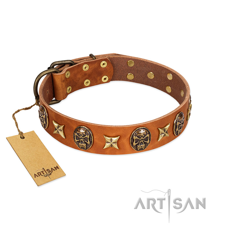 "Rockin' Doggie" FDT Artisan Tan Leather Great Dane Collar Adorned with Stars and Skulls