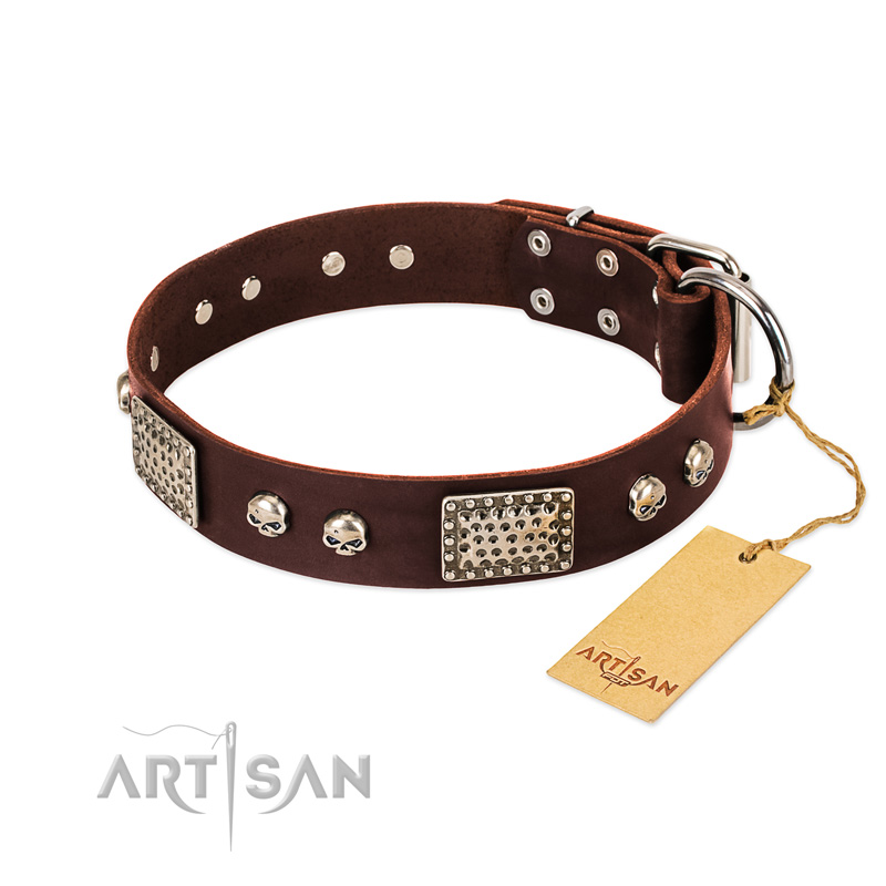 "Pirate Skull" FDT Artisan Brown Leather Great Dane Collar with Old Silver Look Plates and Skulls