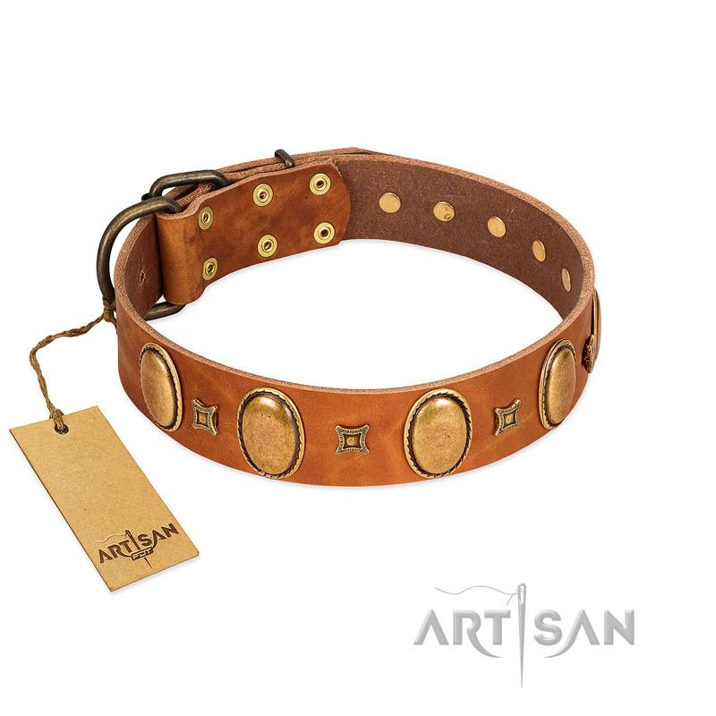"Glossy Autumn" Designer Handmade FDT Artisan Tan Leather Great Dane Collar with Ovals and Studs