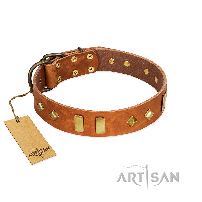 "Woofy Dawn" FDT Artisan Tan Leather Great Dane Collar with Plates and Rhombs