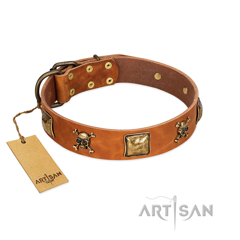 "Knights Templar" FDT Artisan Tan Leather Great Dane Collar with Skulls and Crossbones Combined with Squares - Click Image to Close