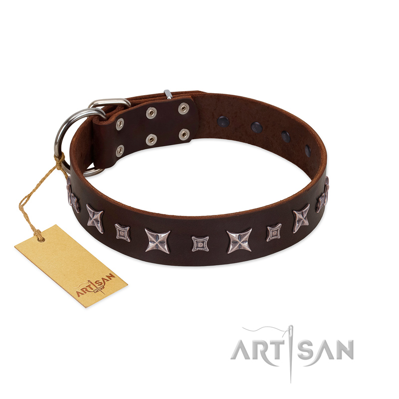 "Stellar Fairy " FDT Artisan Brown Leather Great Dane Collar with Chrome-plated Star-like Decorations