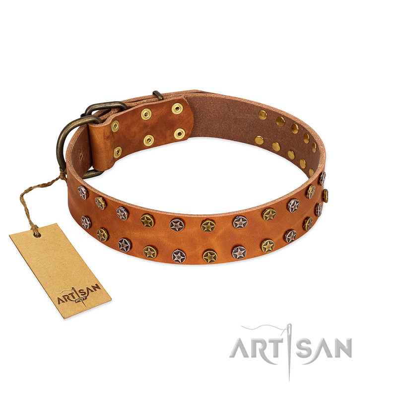 "Walk and Shine" FDT Artisan Tan Leather Great Dane Collar with Antiqued Studs