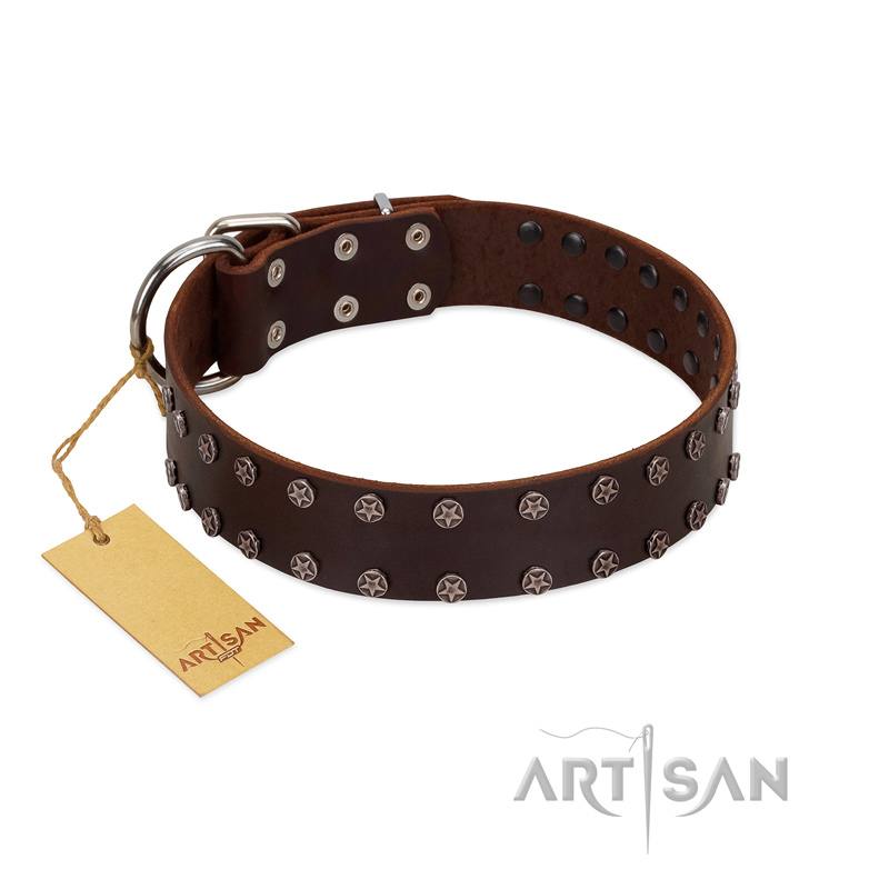 "Star Party" Handmade FDT Artisan Brown Leather Great Dane Collar with Silver-Like Studs