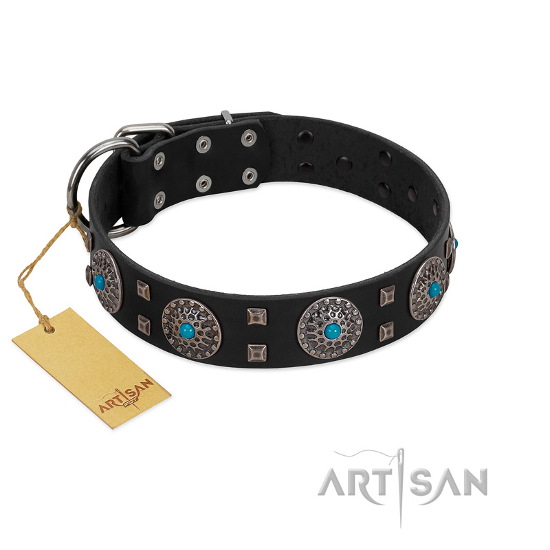 "Boundless Blue" FDT Artisan Black Leather Great Dane Collar with Chrome Plated Brooches and Square Studs
