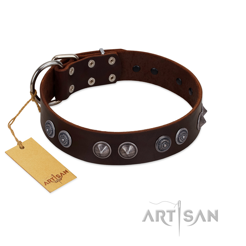 "King Arthur" FDT Artisan Brown Leather Great Dane Collar with Spiky Plates