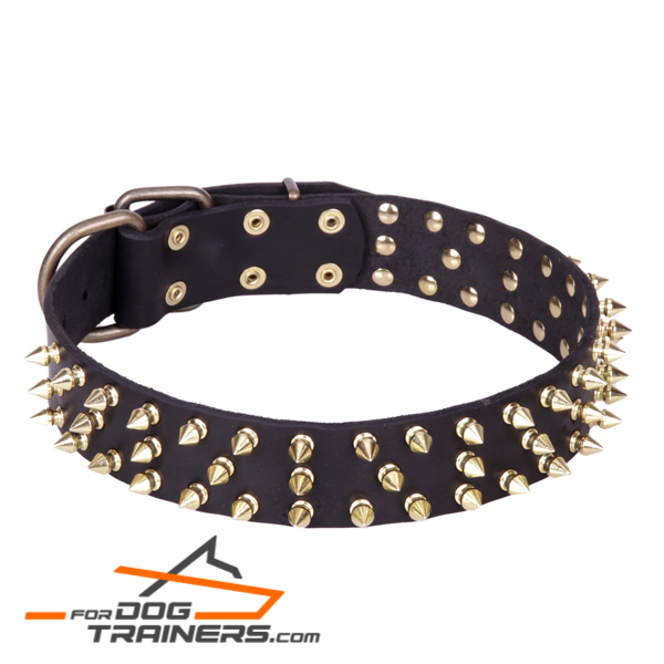 "Black Super Star" Leather Dog Collar with Brass Decorations - Click Image to Close