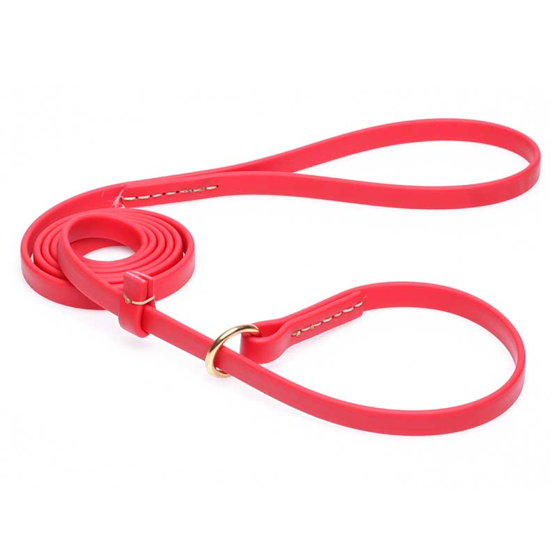 Durable Red Biothane Great Dane Leash and Collar Combo - Click Image to Close