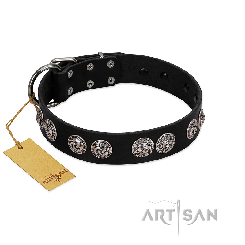 "Magic Amulete" Handcrafted FDT Artisan Black Leather Great Dane Collar with Chrome-Plated Shields