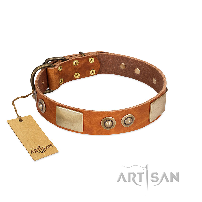 Perfect Blend FDT Artisan Tan Leather Great Dane Collar 1 1 2 inch 40 mm wide Great Dane Breed Harness Great Dane Muzzle Great Dane Dog Collar Dog Leash 2024 BUY NOW