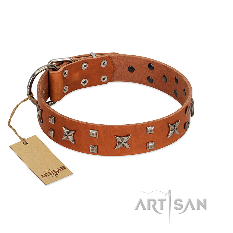 "Faraway Galaxy" FDT Artisan Tan Leather Great Dane Collar Adorned with Stars and Squares