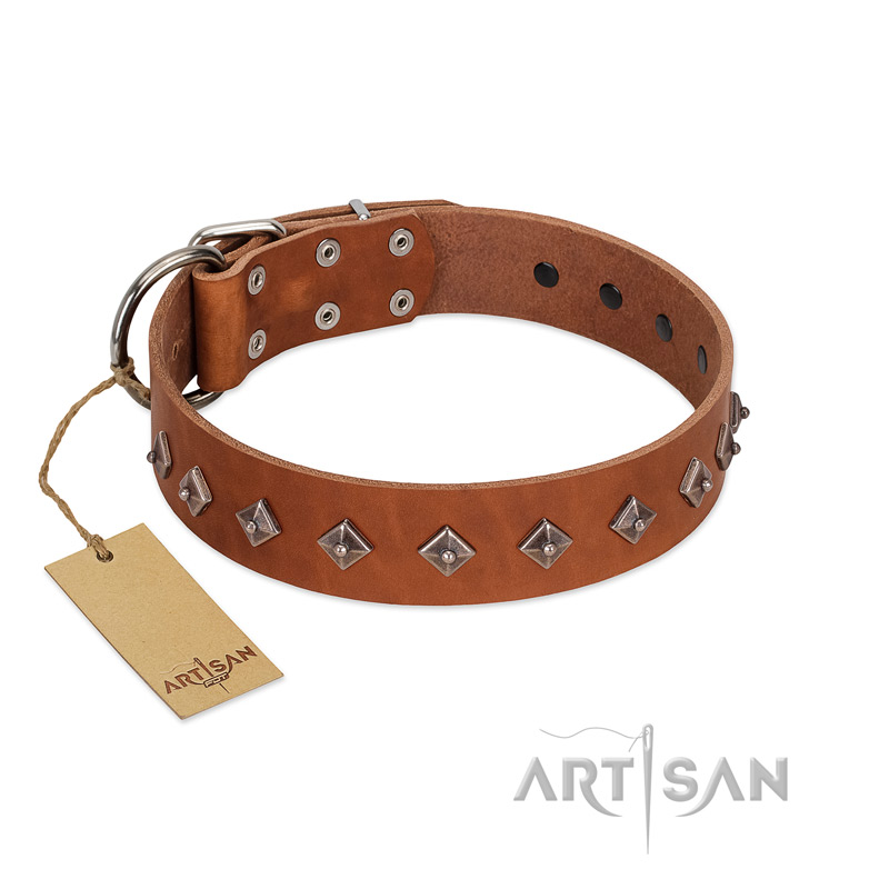 "Broadway" Handmade FDT Artisan Tan Leather Great Dane Collar with Dotted Pyramids