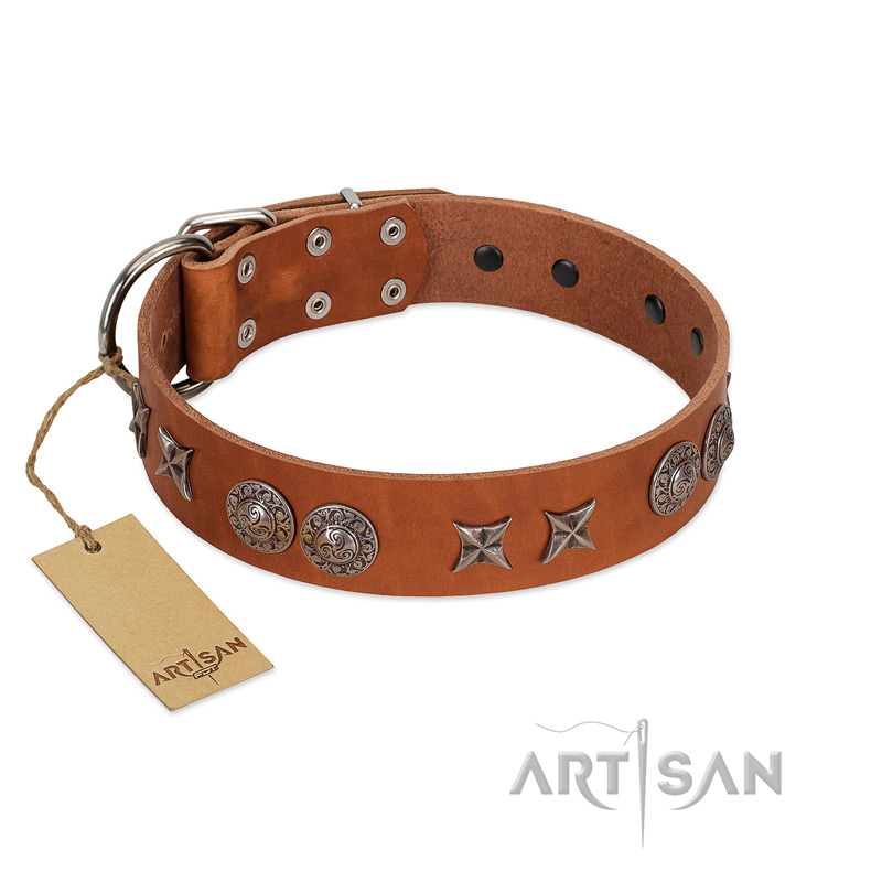 "Splendid Armor" Premium Quality FDT Artisan Tan Designer Great Dane Collar with Shields and Stars - Click Image to Close