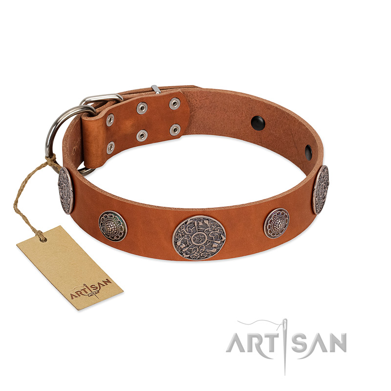 "Foxy Nature" FDT Artisan Tan Leather Great Dane Collar with Chrome Plated Brooches
