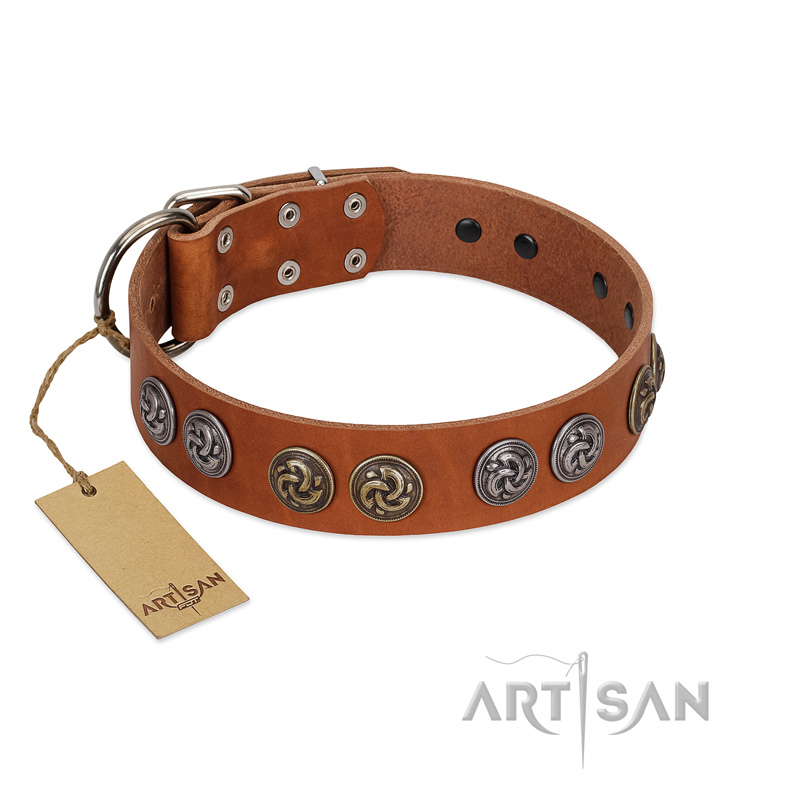 "Luxurious Life" Premium Quality FDT Artisan Tan Leather Great Dane Collar with Round Adornments