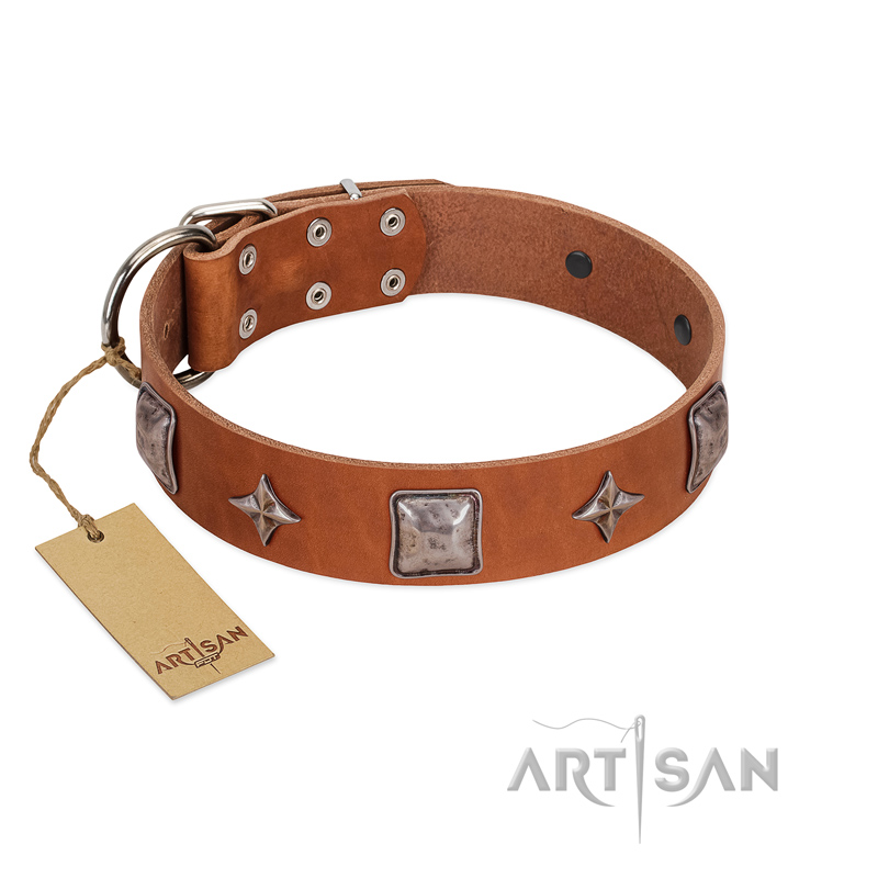 "Lucky Star" FDT Artisan Tan Leather Great Dane Collar with Silver-Like Embellishments