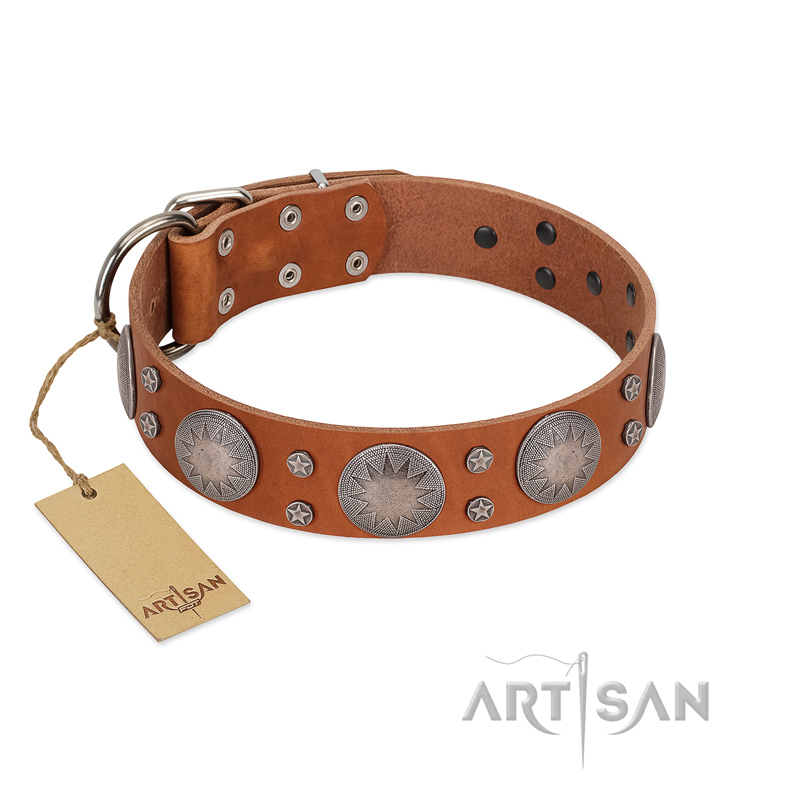 "Far Star" FDT Artisan Tan Leather Great Dane Collar with Engraved Studs