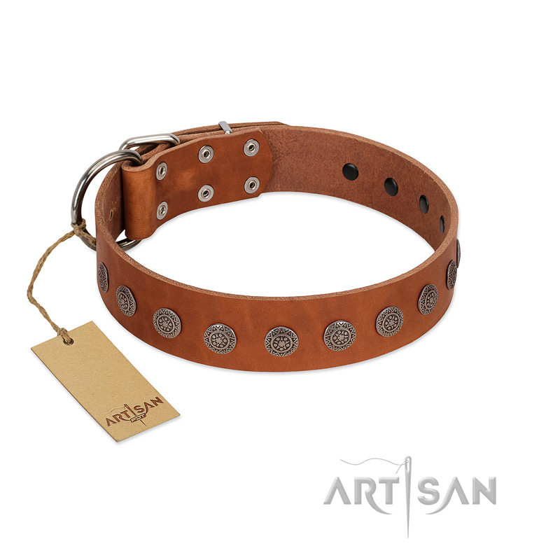 "Lucky Star" Handmade FDT Artisan Designer Tan Leather Great Dane Collar with Round Plates