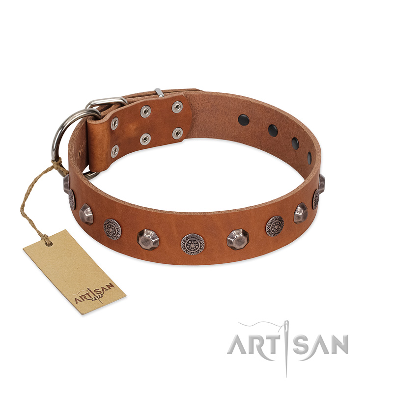 "Silver Age" Fashionable FDT Artisan Tan Leather Great Dane Collar with Silver-Like Studs