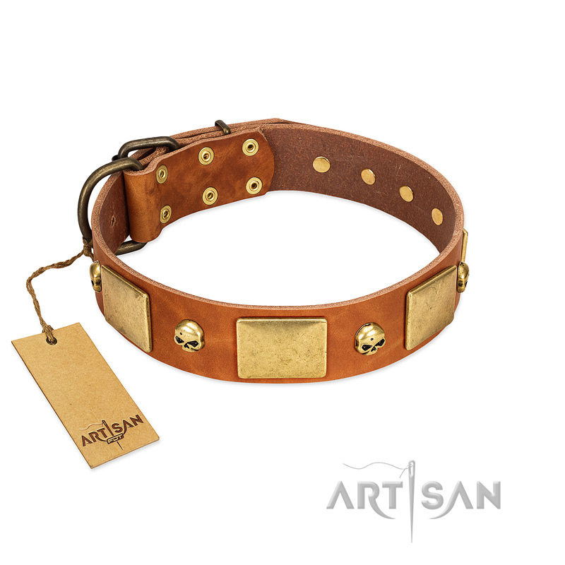 "Mutt The Daredevil" FDT Artisan Tan Leather Great Dane Collar with Old Bronze-like Skulls and Plates