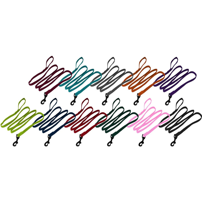 Nylon Traffic Leash - Click Image to Close