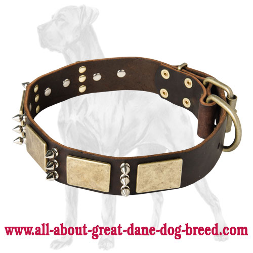 Fashionable Leather Collar with Plates and Spikes for Great Dane