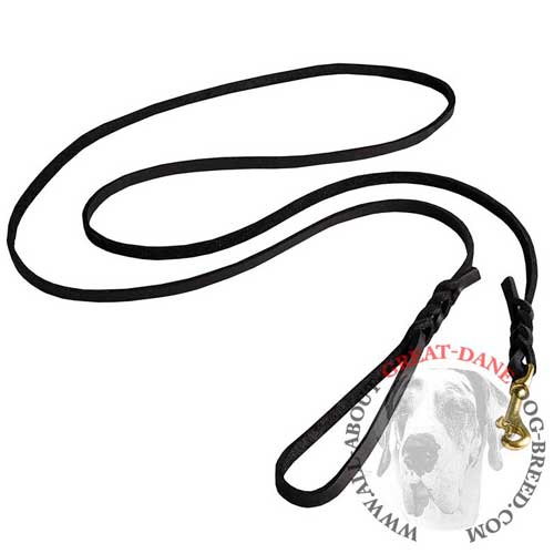 Leather Great Dane leash for walking