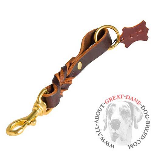 Training Dog Leash Braided Design