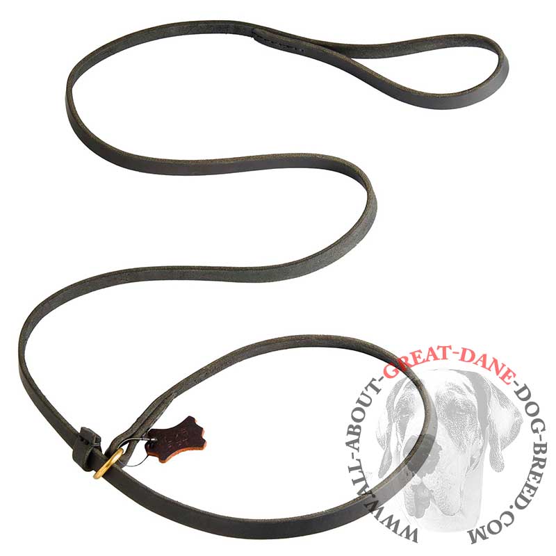 Fast Leather Great Dane Leash and Choke Collar Combo [L251094 Fast
