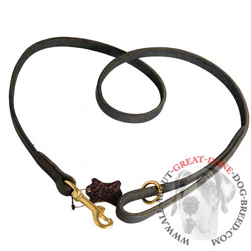 Great Dane tear-resistant leather leash for walking 