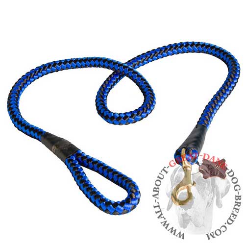 Bright Blue Nylon Cord Great Dane Leash with Chess Ornament