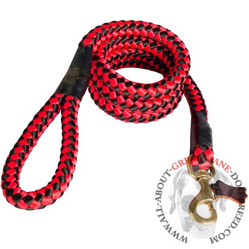 Red Nylon Cord Great Dane Leash with Handle and Brass Snap Hook