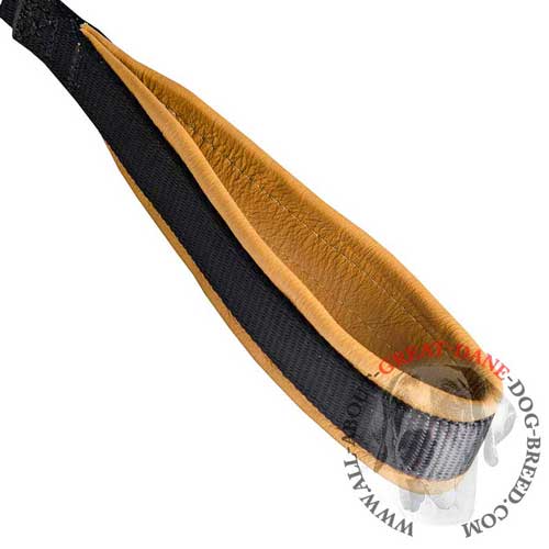 Leather padded nylon handle of Great Dane leash