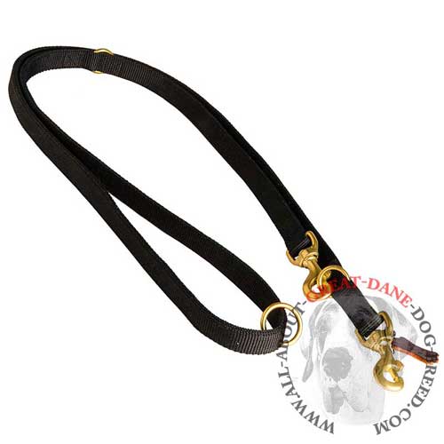 Nylon Great Dane Leash for patrolling