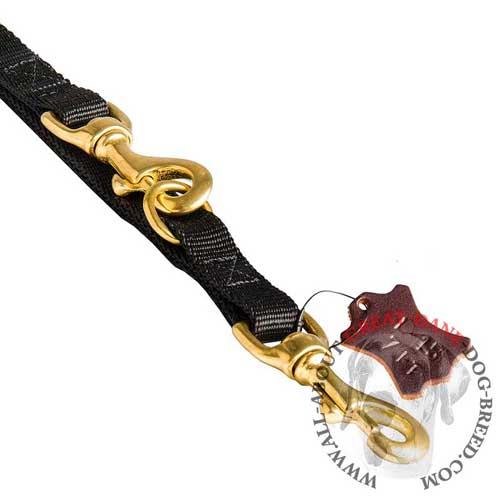 Multi-Mode Great Dane leash with brass snap hooks