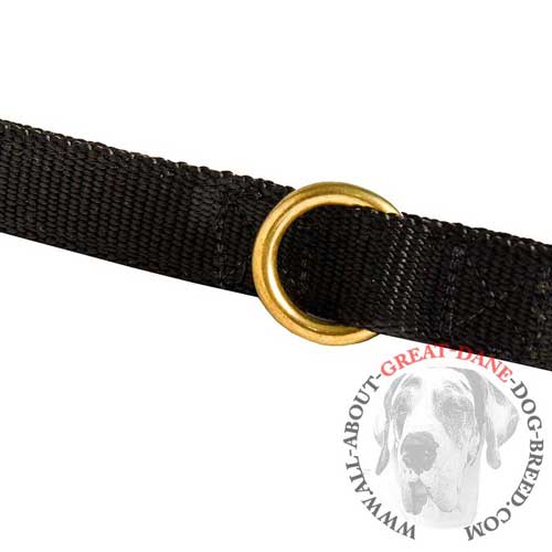 Great Dane leash with stitched ring