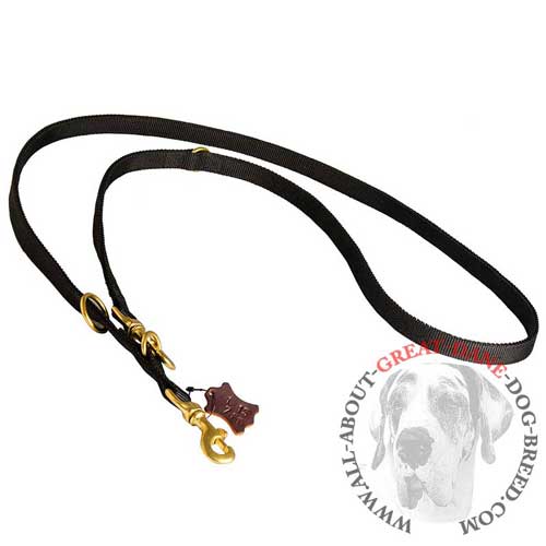 Nylon Great Dane leash with several modes