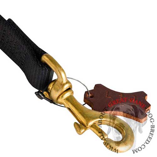 Nylon Great Dane leash equipped with stitched brass snap  hook