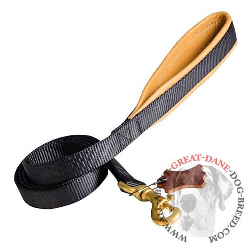 Great Dane leash with padded handle