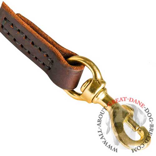 Rust-resistant brass snap hook for Great Dane leash