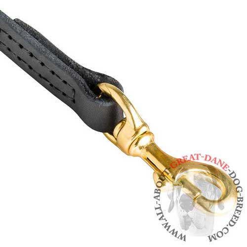 Leather Dog Leash with Brass Hook