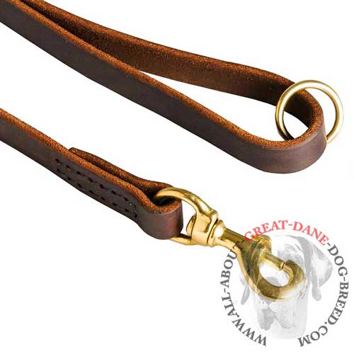 Great Dane leash with floating O-Ring