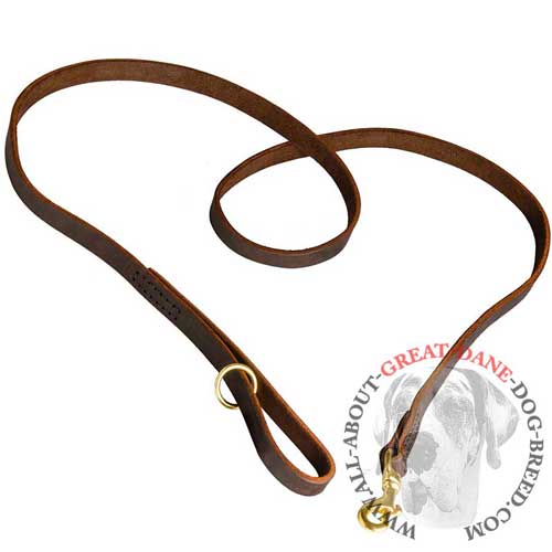 Genuine leather Great Dane leash