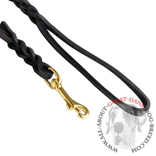 Great Dane leather leash with golden-like snap hook 
