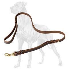 Leather Great Dane leash adorned with braids