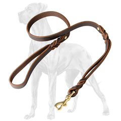 Reliable Great Dane leash with extra handle