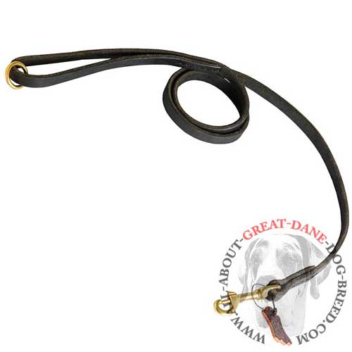 Super flexible Great Dane leather leash 