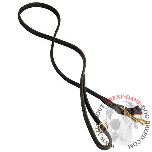 Training Great Dane stitched leather leash 