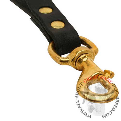 Strong Great Dane leather leash with riveted snap hook
