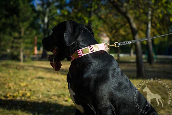 Great Dane leather leash with reliable handle daily-walks